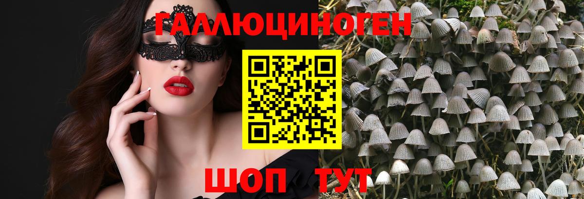 Псилоцибиновые грибы Psilocybe Коммунар