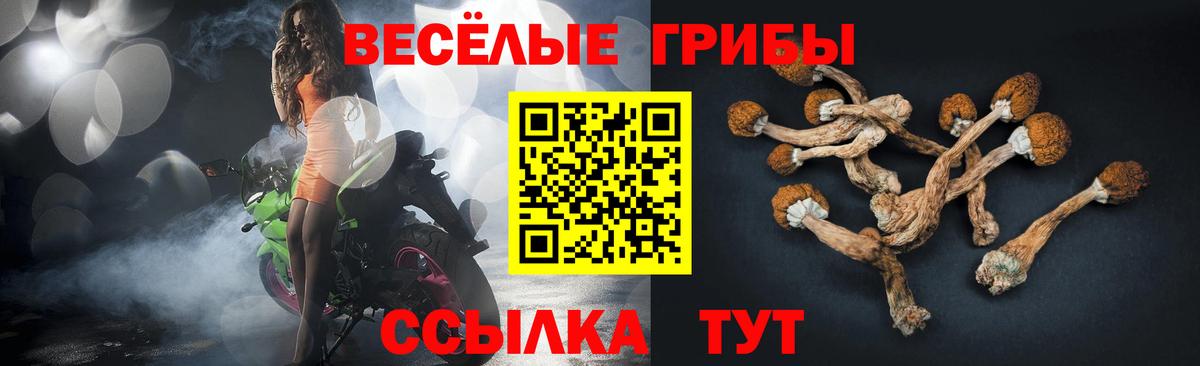 Коммунар  Псилоцибиновые грибы мухоморы  Вход с VPN 